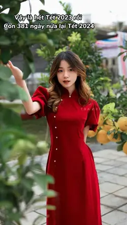 381 ngày nữa lại têt
