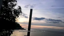 Sunset#fyp#viral