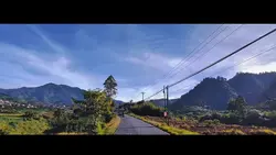 Cinematic Landscape