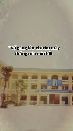 mẫu 1 ảnh 
