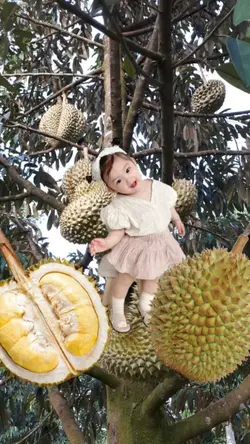 Bochil Durian