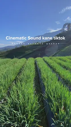 Cinematic kane nih🤤