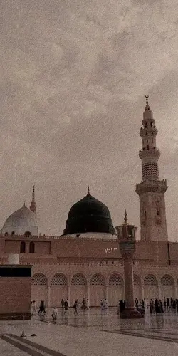Habibi ya muhammad