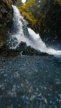 fotoxbackground