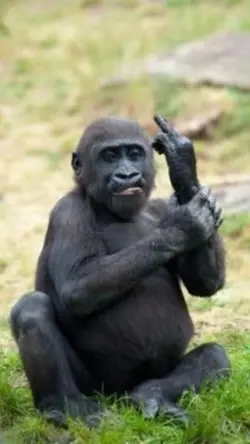 แกล้งเพื่อน