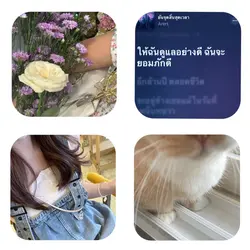 ฝากส่งออกกันเยอะๆนะคะ💘