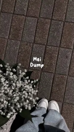 Mei Dump