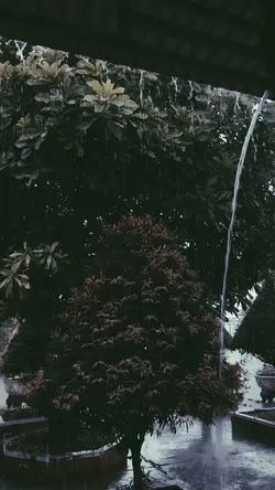 Rain+màu buồn