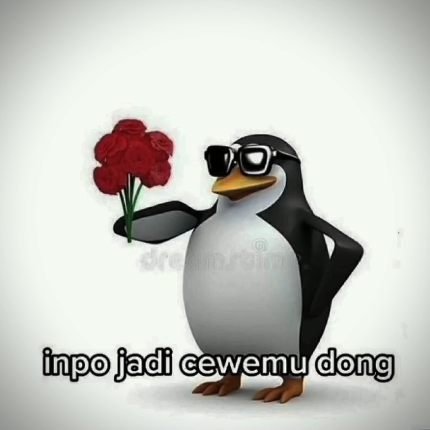 inpo inpo