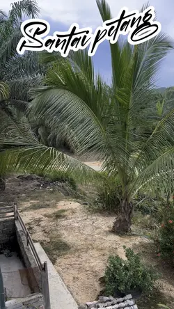 Santai