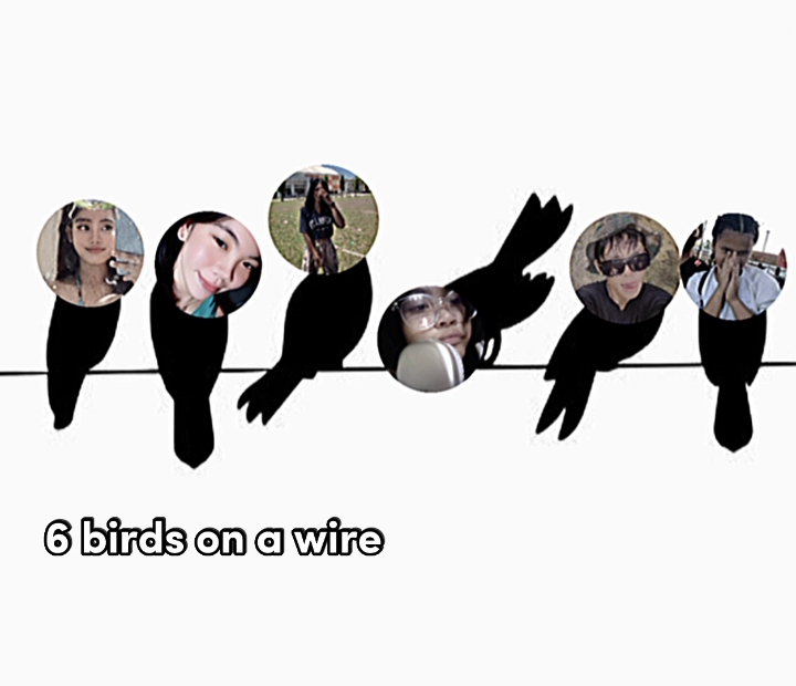 oiseaux sur un fil 