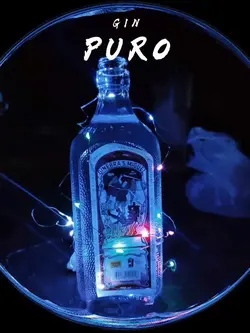 gin puro