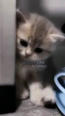 preset CC