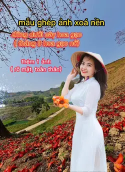 Hoa gạo tháng 3