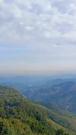 เสียงบำบัด