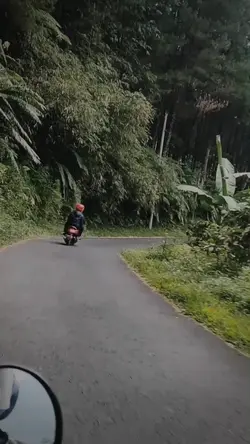 3vid 2pict