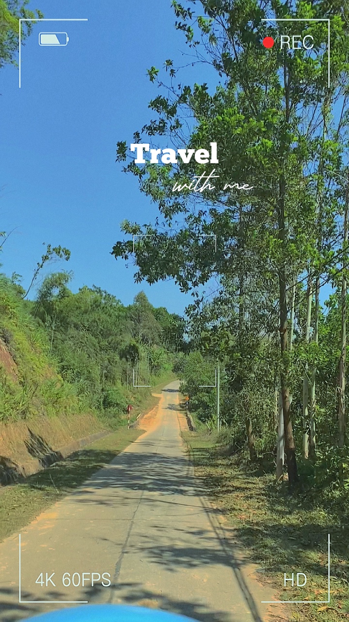 Viaje comigo