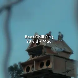 Beat Chill (1:1) 