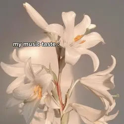 Music Taste 