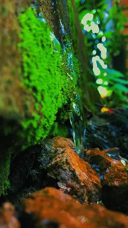Estetik Air Terjun