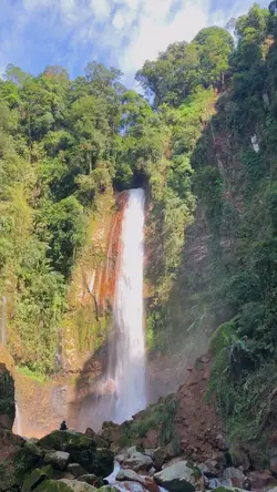 nature peace🍃