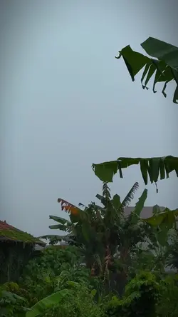 hujan