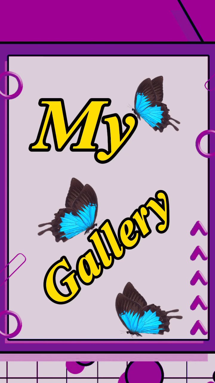 Galería De Álbumes