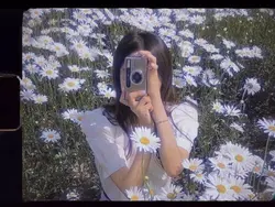Film filter 🎞️