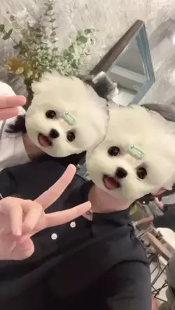 인스타 올리기 좋은 템플릿