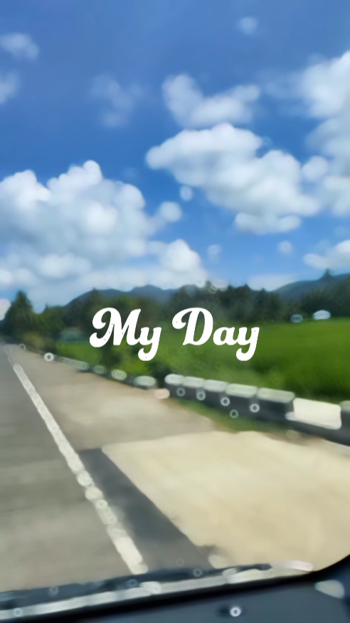 my day