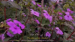 Ya Nabi Salam Alayka