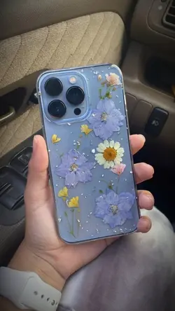 Báo iP13 Pro Max