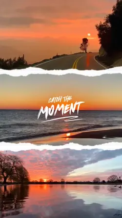Catch the Moments
