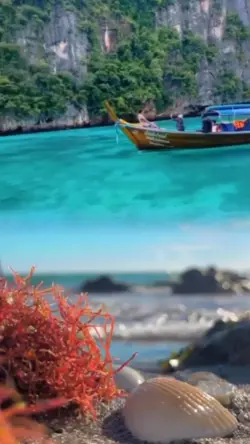 2 video