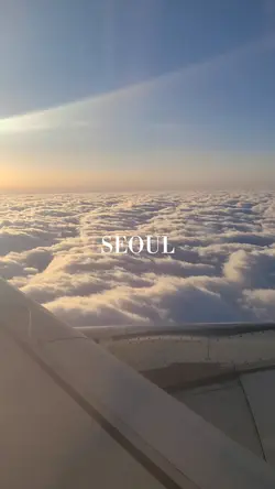 릴스에서 자주뜨는 영상