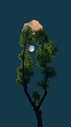 Aesthetic