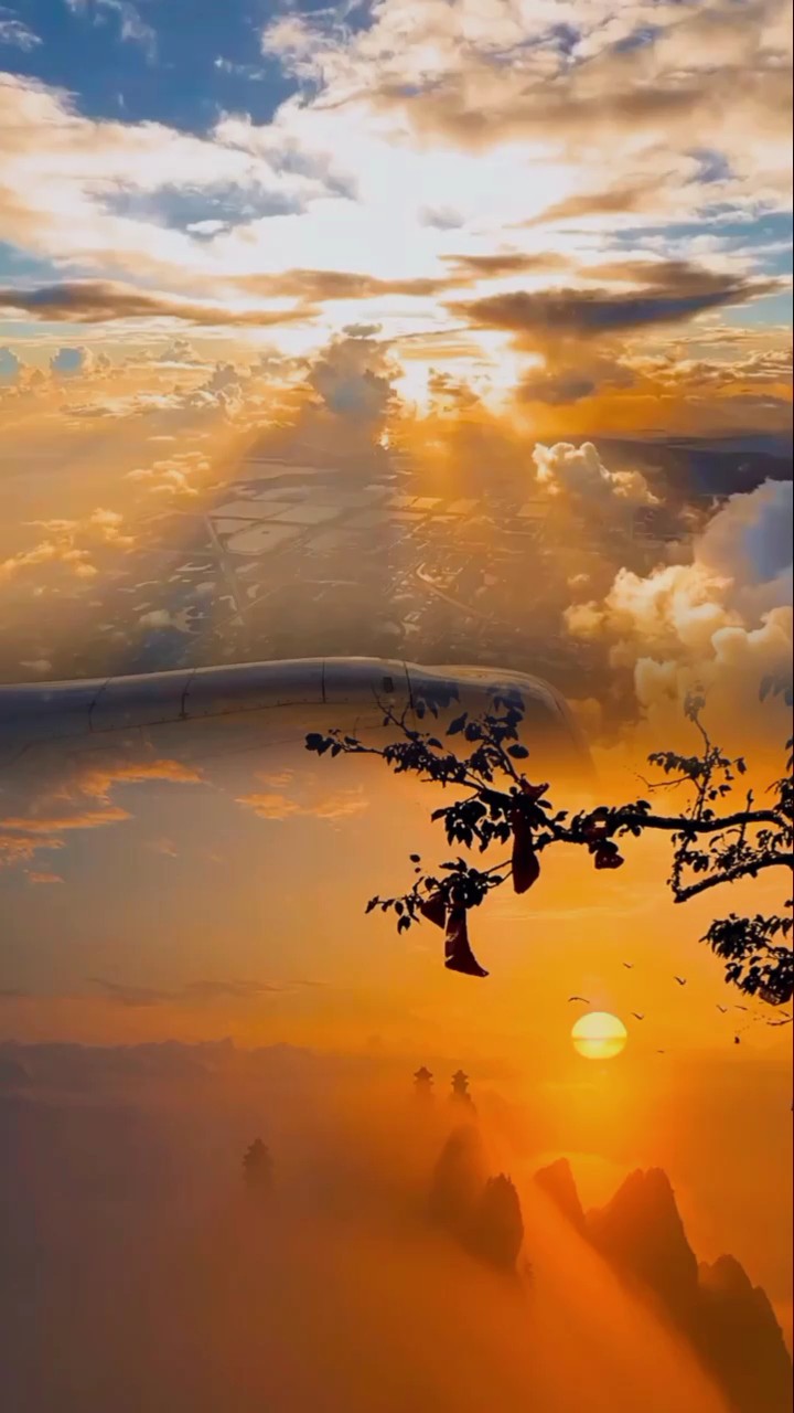 2 video 