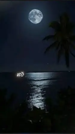 យប់សម្លឹងមើលចន្ទ