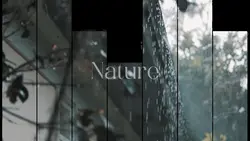 Transition Nature