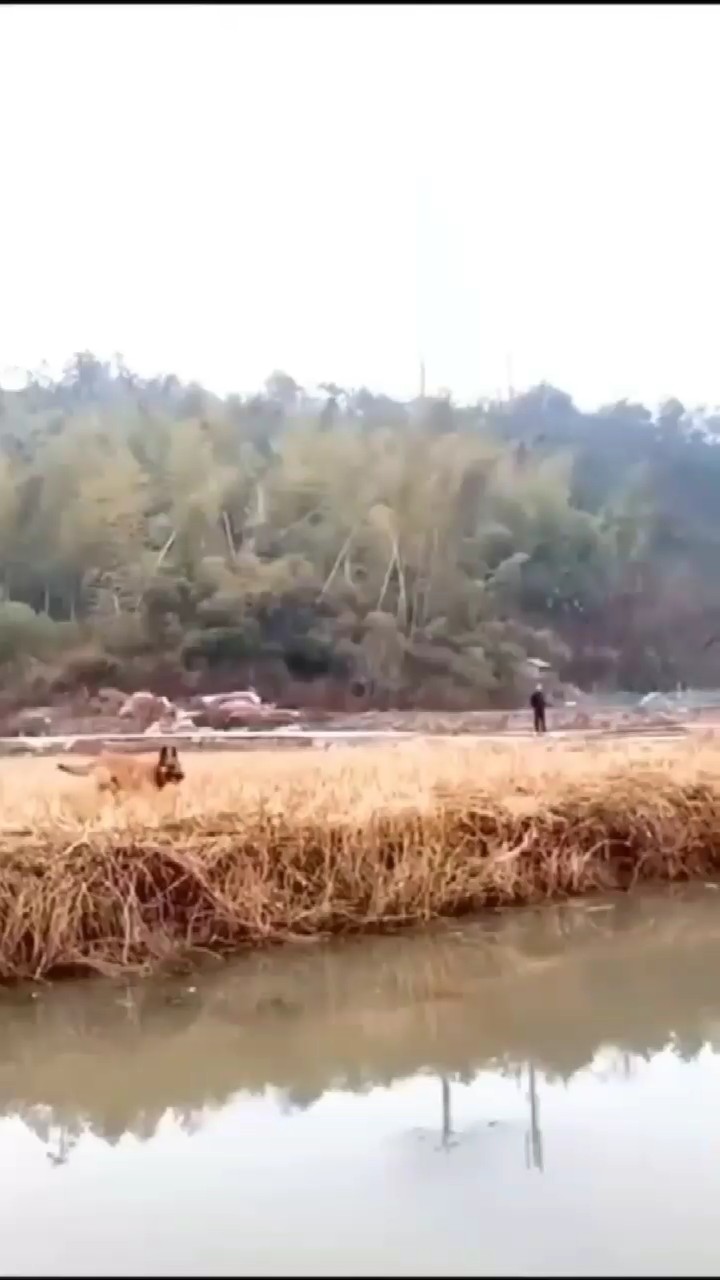 In The End Slowmo