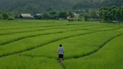 pemandangan keren