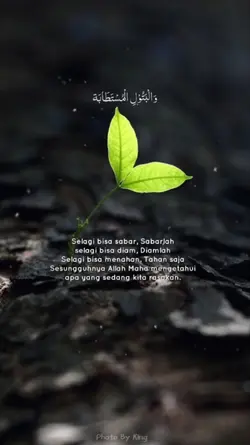 arabic song