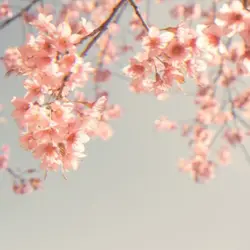 박자편집 #필터바꾸기