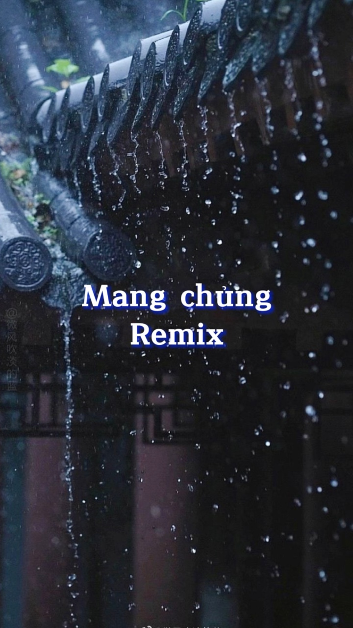 Mẫu 24 ảnh