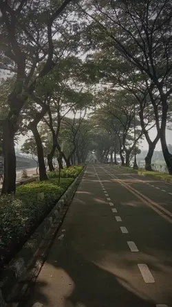 mẫu 2 ảnh