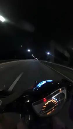 Rempit fly
