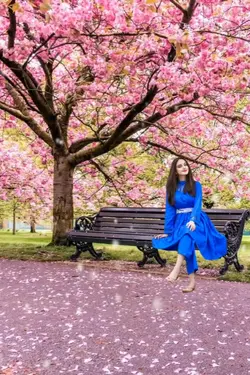 Taman bunga terindah