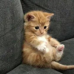 숙제도 많궁ㅇ