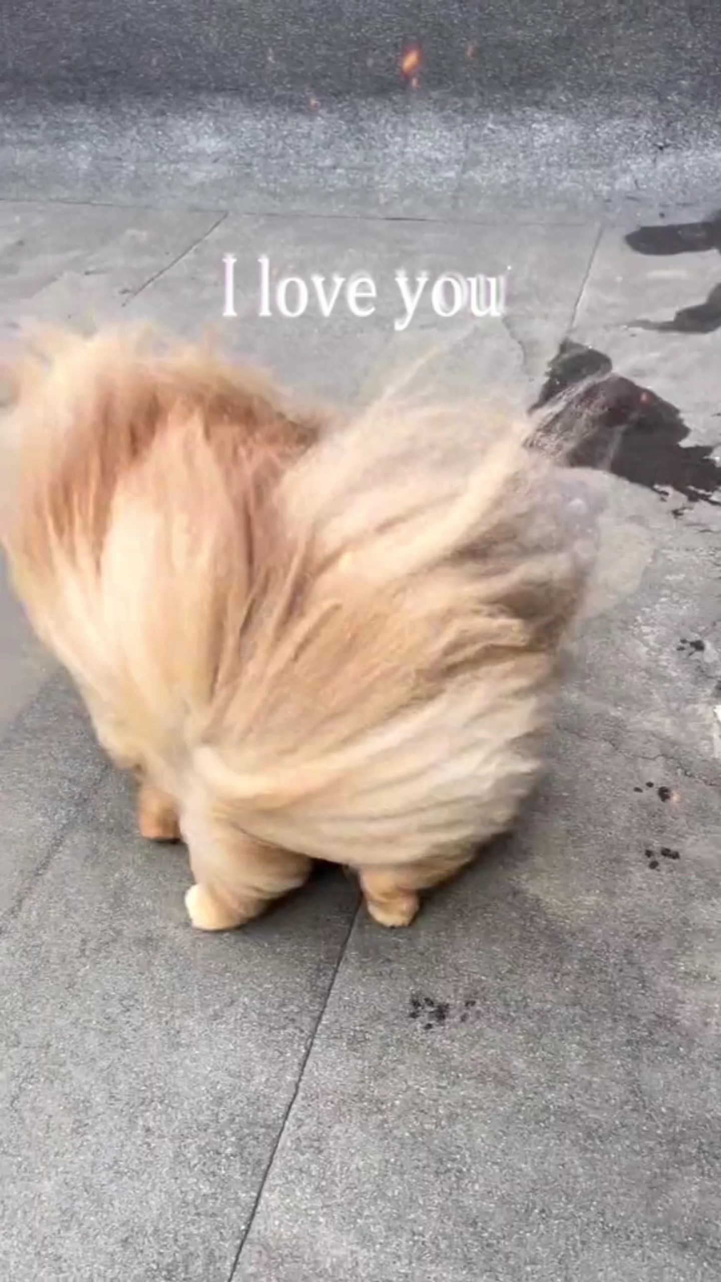 မင်းရဲ့ဆံနွယ်တွေ....