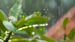 Vlog Estetik 